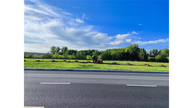 標題：伊利現(xiàn)代智慧健康谷道路綠化建設(shè)項目
瀏覽次數(shù)：2472
發(fā)表時間：2023-11-07